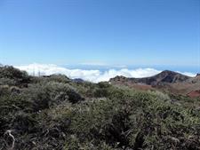 Roque de los Muchachos